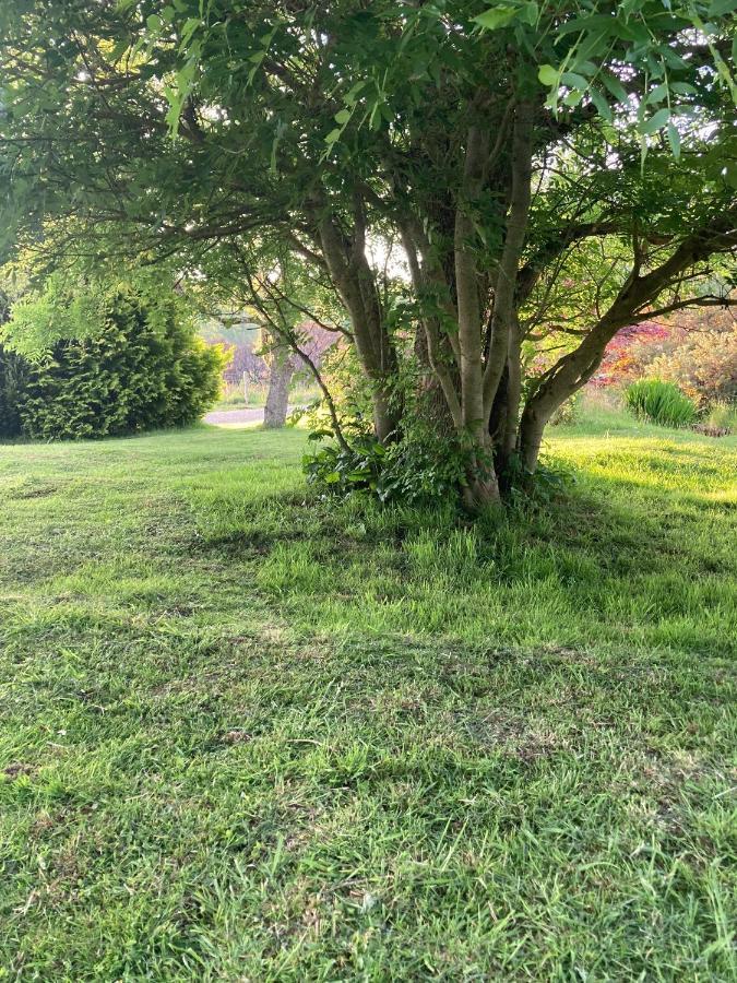 Clashmore Wood دورنوش المظهر الخارجي الصورة